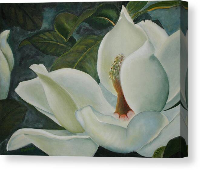 Magnolia Canvas Print featuring the painting Summer Magnolia by Sandy Murphree Jacobs