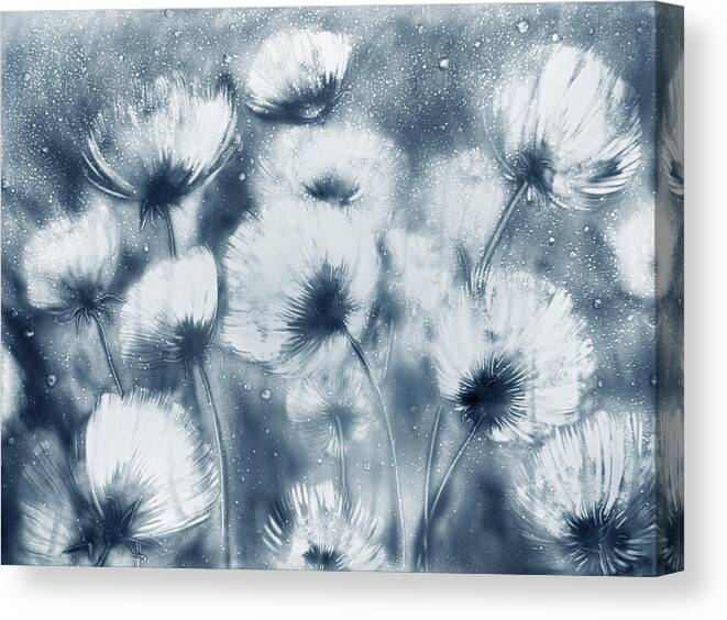 Flowers Canvas Print featuring the drawing Summer Snow by Elena Vedernikova