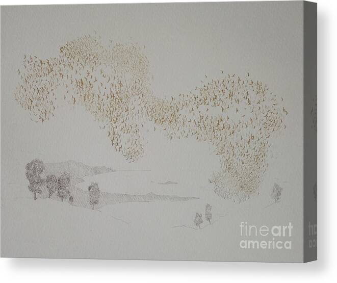 Murmuration Canvas Print featuring the painting Sunbirds by Angus Hampel