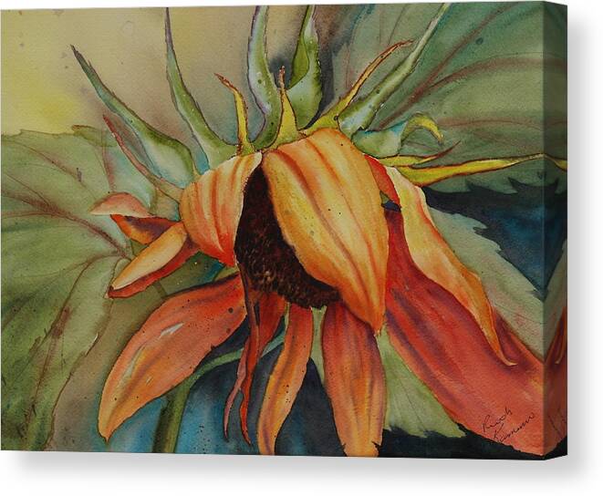 Sunflower Canvas Print featuring the painting Sunflower by Ruth Kamenev