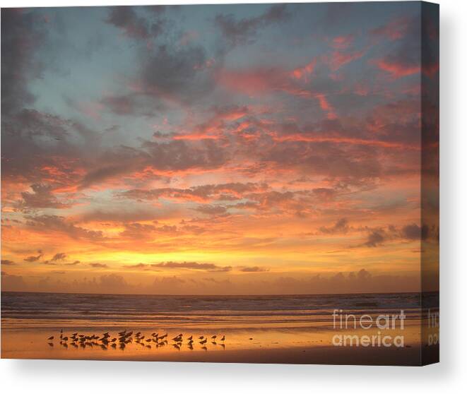 Beach Prints Canvas Print featuring the photograph Sunrise with birds 3 5-26-15 by Julianne Felton