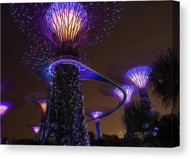 Singapore Canvas Print featuring the photograph Supertrees by Nisah Cheatham