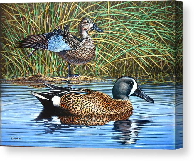 Ducks Canvas Print featuring the painting The Hide-Away by Richard De Wolfe