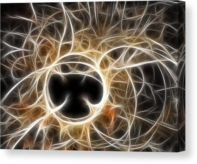 Fractal Canvas Print featuring the digital art The Invitation by Holly Ethan