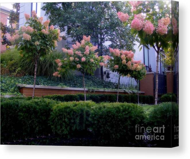 Photography Canvas Print featuring the photograph The Land of Pink Trees by Nancy Kane Chapman