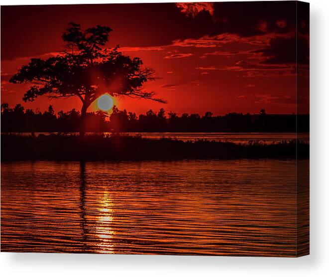 Sunset Canvas Print featuring the photograph The Tree on fire by Joe Holley