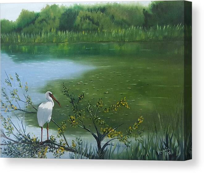 Florida Wetlands Canvas Print featuring the painting The Watchman by Connie Rish