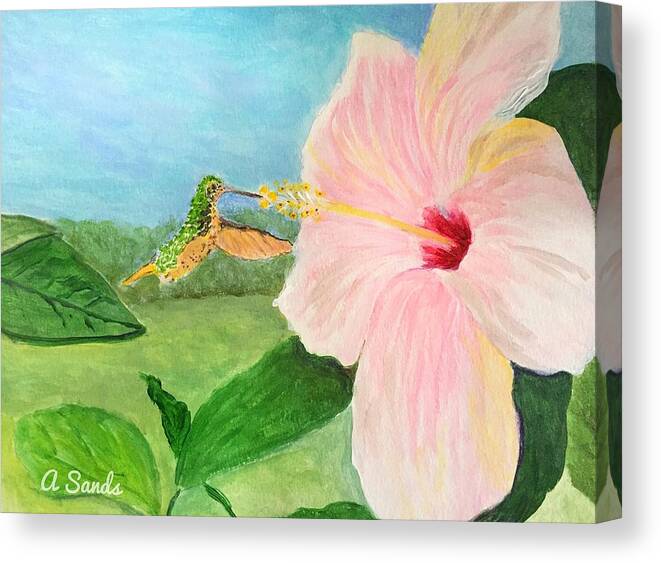 Pink Hibiscus Canvas Print featuring the painting Time for Lunch by Anne Sands