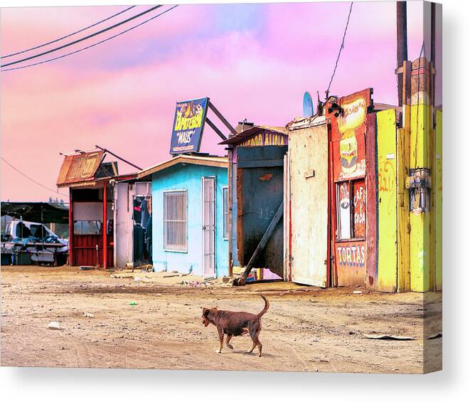 Mexico Canvas Print featuring the photograph Tortas by Dominic Piperata
