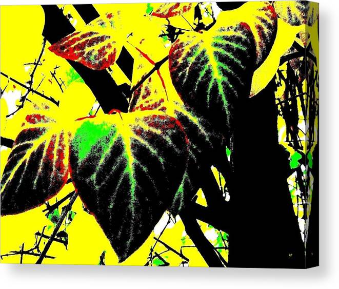 #touchofvelvet Canvas Print featuring the digital art Touch of Velvet by Will Borden