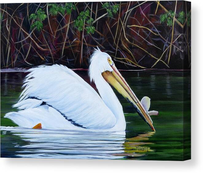 Pelican Canvas Print featuring the painting Touring Pelican by Marilyn McNish