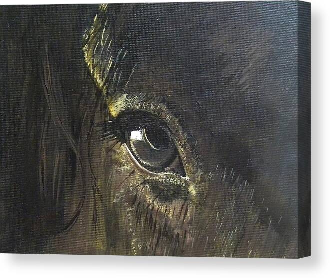 Horse Canvas Print featuring the painting Trusting Eye by Denise Hills