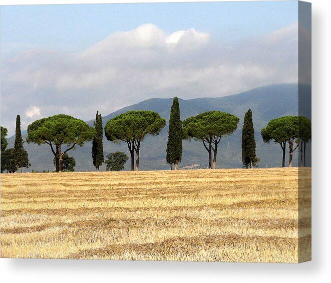 Tuscany Canvas Print featuring the digital art Tuscany Trees by Julian Perry