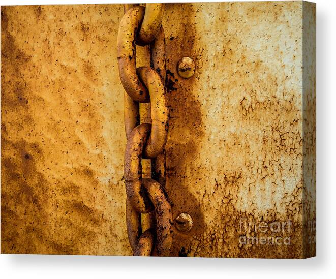 Rust Canvas Print featuring the photograph Unbroken Chain by George Kenhan