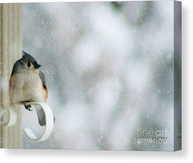 Bird Canvas Print featuring the photograph Up Front by Barbara S Nickerson