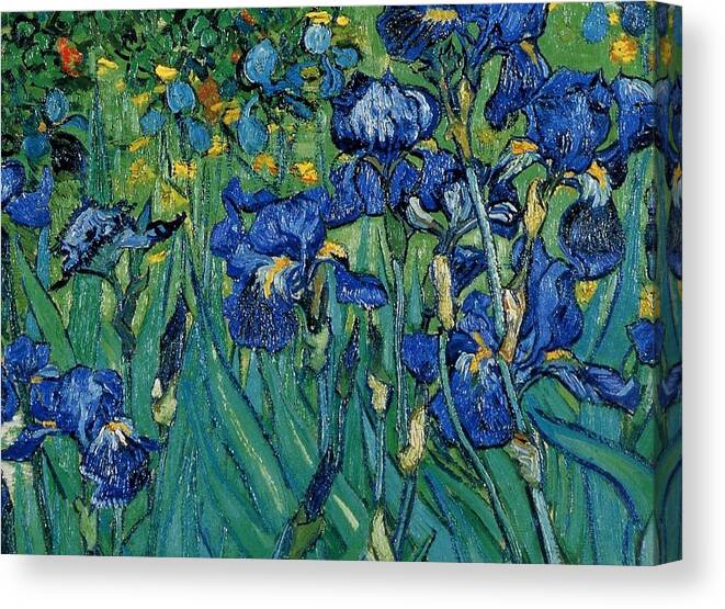 Vincent Van Gogh Iris Detail Canvas Print featuring the painting Vincent Van Gogh Iris detail by MotionAge Designs