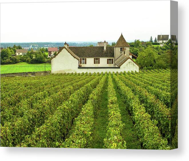 Vineyard Canvas Print featuring the photograph Vineyard in France by Jim Mathis