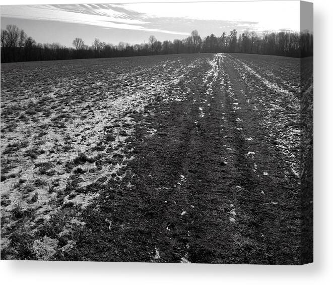  Canvas Print featuring the photograph Walking in the Winter Field by Polly Castor
