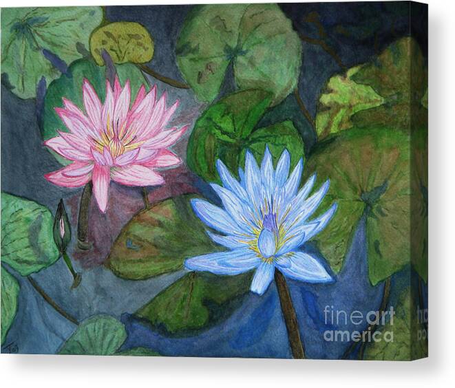 Water Lilies Canvas Print featuring the painting Water Lilies by Yvonne Johnstone