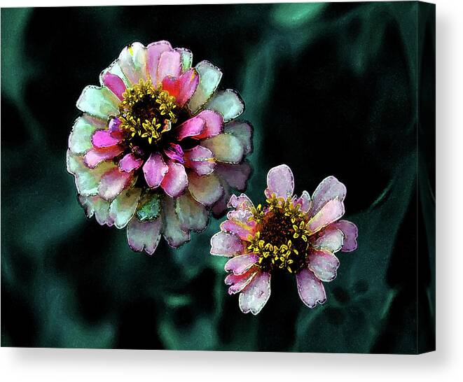 Watercolor Canvas Print featuring the photograph Watercolor Pink Zinnias and Smoke 2227 W_2 by Steven Ward