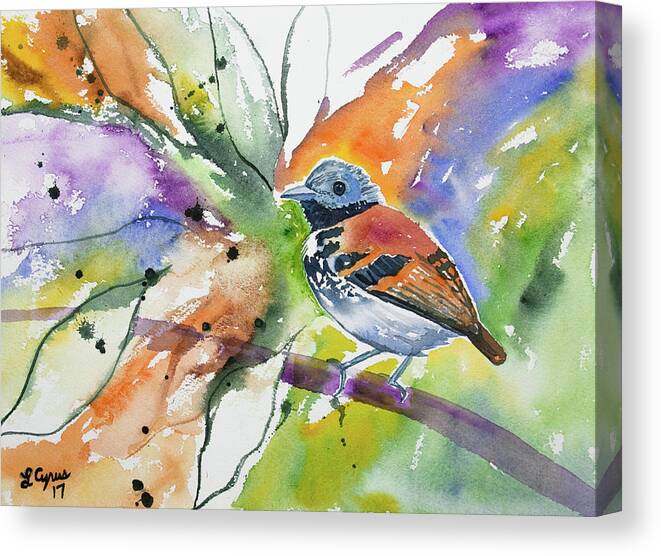 Spotted Antbird Canvas Print featuring the painting Watercolor - Spotted Antbird by Cascade Colors