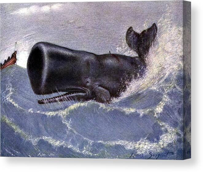 History Canvas Print featuring the photograph Whaling for Sperm Whale 20th Century by Science Source