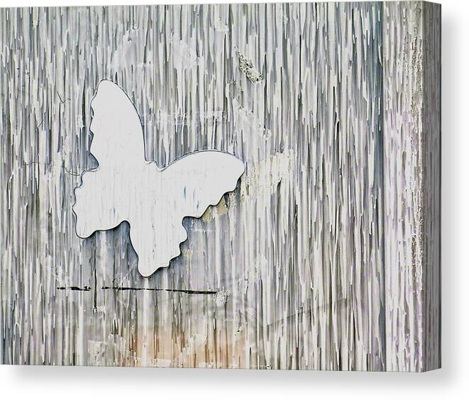 Butterfly Canvas Print featuring the photograph White Butterfly by Kathy Corday