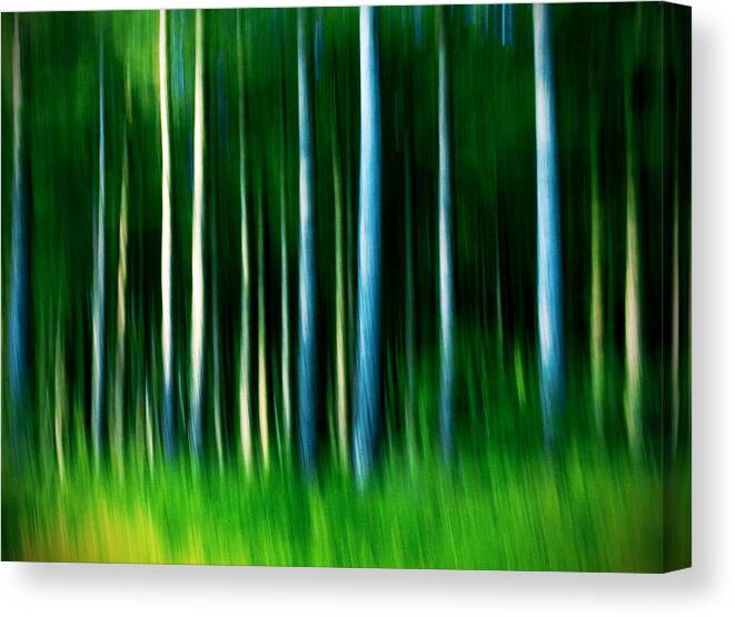 Abstract Canvas Print featuring the photograph Wild Stripes by Dorit Fuhg