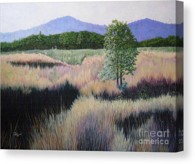Landscape Canvas Print featuring the painting Willamette Evening Shadows by Lynn Quinn