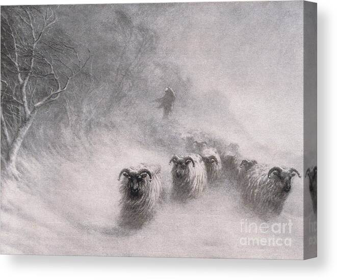 Winter Comes With A Stormy Blast Canvas Print featuring the painting Winter comes with a stormy blast by Joseph Farquharson