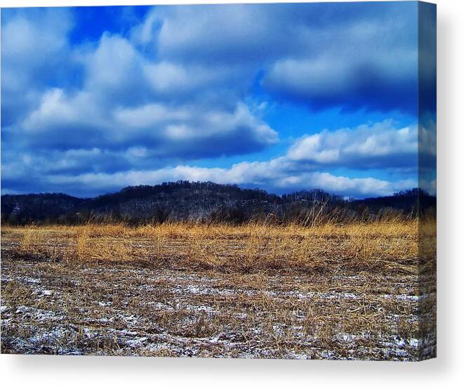 Landscape Canvas Print featuring the photograph Winter Field by Flees Photos