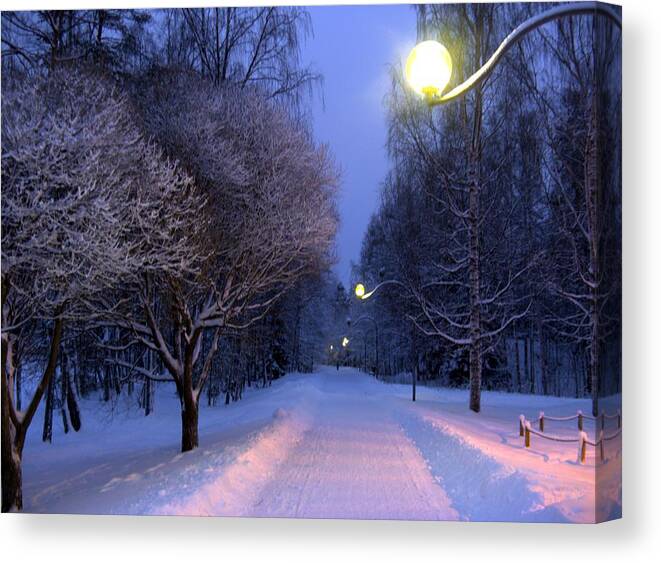 Winter Canvas Print featuring the photograph Winter scene 4 by Sami Tiainen
