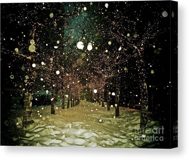 Trees Canvas Print featuring the photograph Winter Wonderland - New York by Debra Banks