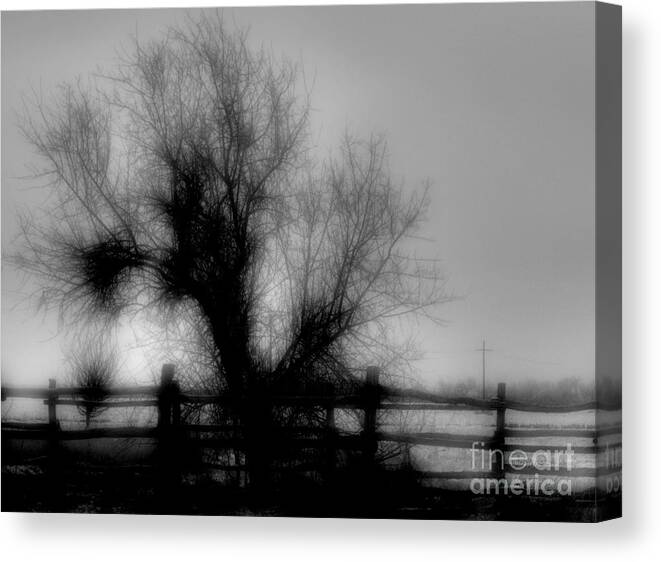 Tree Canvas Print featuring the photograph Witching Tree #1 by Mimulux Patricia No