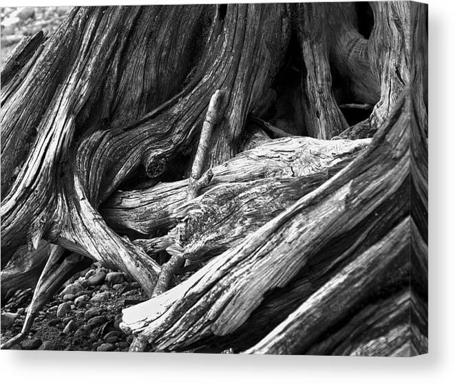 Wood Canvas Print featuring the photograph Wood by David Pratt