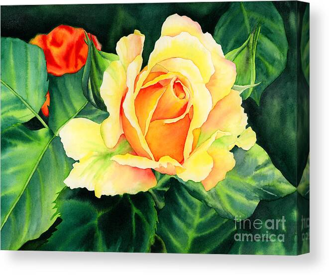 Watercolor Canvas Print featuring the painting Yellow Roses by Hailey E Herrera