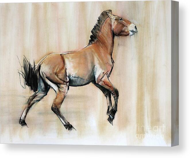 Horse Canvas Print featuring the pastel Young Stallion by Mark Adlington