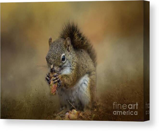 Red Squirrel Canvas Print featuring the photograph Yum Yum by Eva Lechner