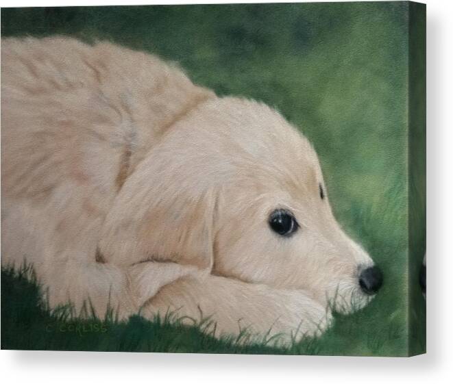 Dog Canvas Print featuring the pastel It Wasn't Me by Carol Corliss