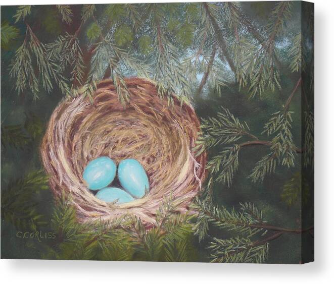 Eggs Canvas Print featuring the pastel Triplets #1 by Carol Corliss