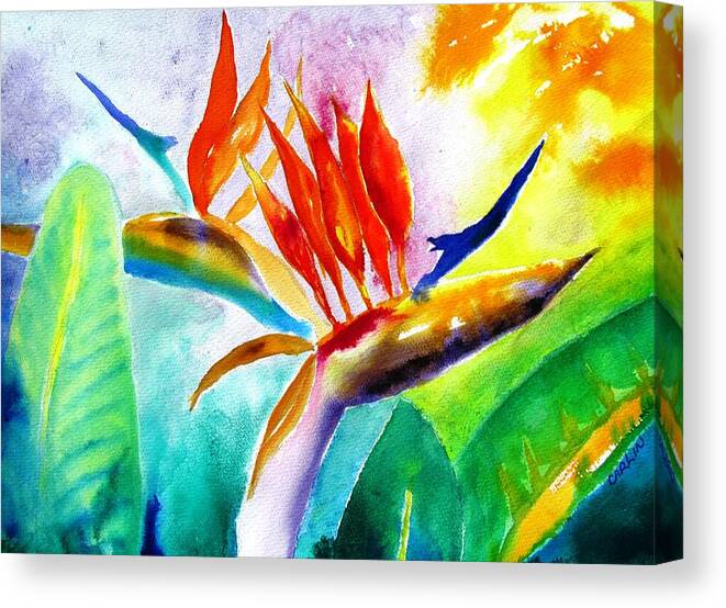 Bird Of Paradise Canvas Print featuring the painting Bird of Paradise by Carlin Blahnik CarlinArtWatercolor