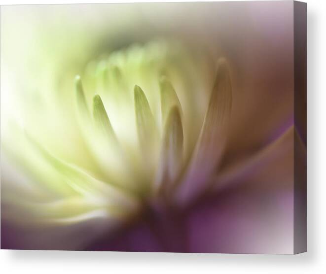 Abstract Canvas Print featuring the photograph Dance In The Light.. #3 by Juliana Nan