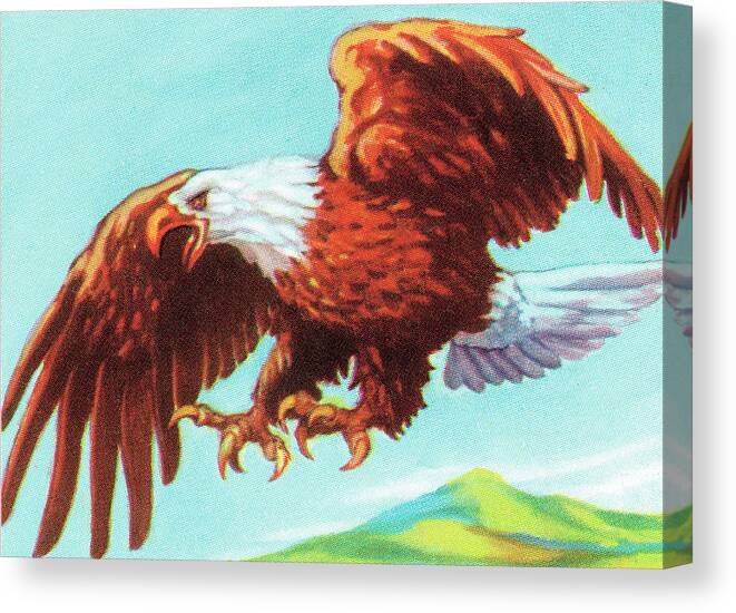 America Canvas Print featuring the drawing Eagle #34 by CSA Images