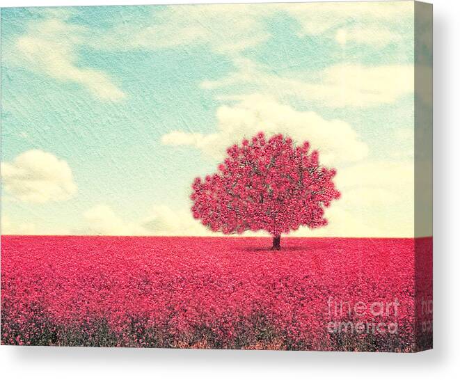 Beauty Canvas Print featuring the photograph A Beautiful Tree In A Pretty Field by Annette Shaff