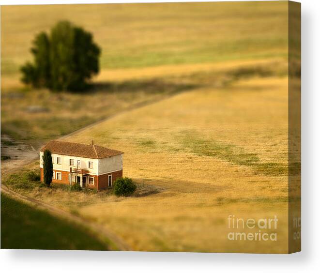 Farmhouse Canvas Print featuring the photograph A Tilt Shifted Country House by Ikerlaes