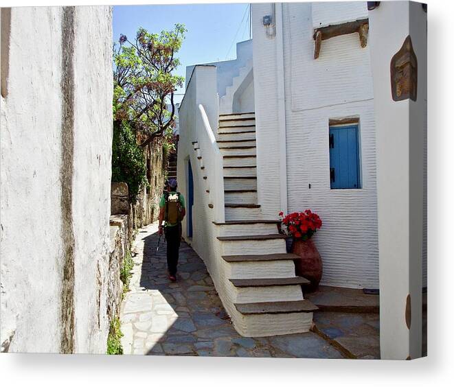 Tinos Canvas Print featuring the photograph A Visitor in the Greek Islands by L Bosco