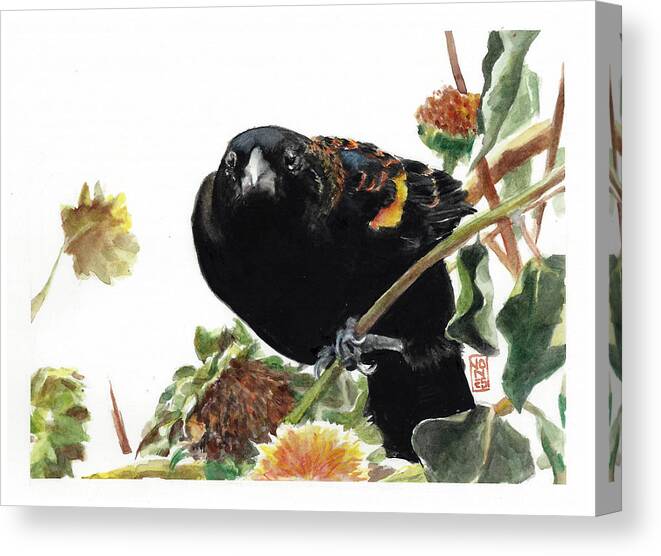 Red-winged Blackbird Canvas Print featuring the painting Angry Blackbird by Debra Jones