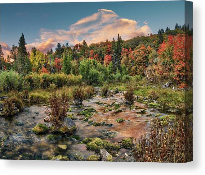 Nature Canvas Print featuring the photograph Autumn Light Reflections by Leland D Howard