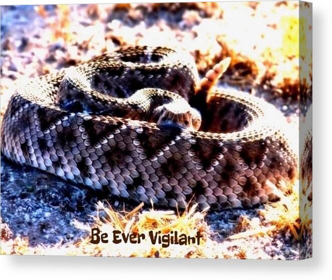 Adage Canvas Print featuring the photograph Be Ever Vigilant 2 by Judy Kennedy