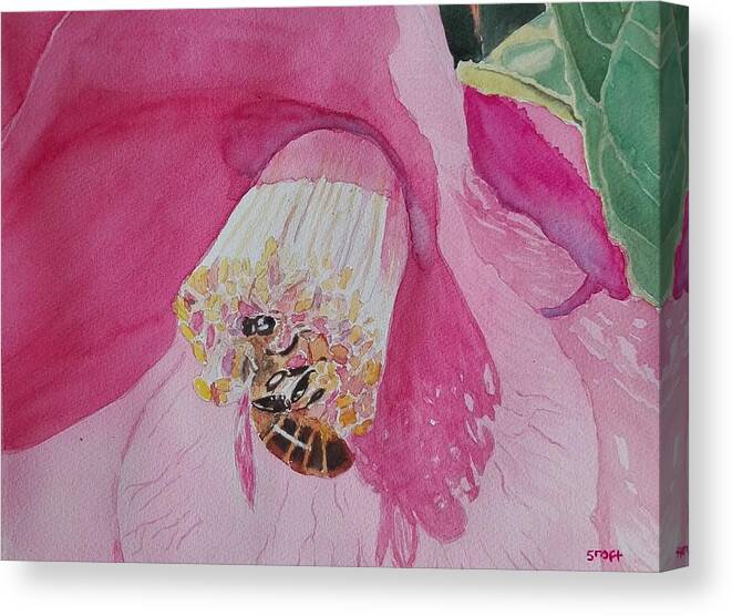 Bee Canvas Print featuring the painting Bee and Camelia by Sandie Croft